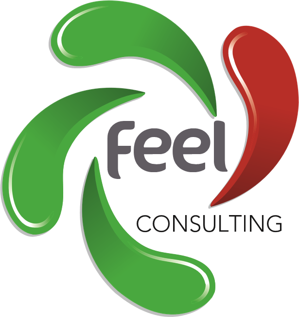 FEEL Consulting logo